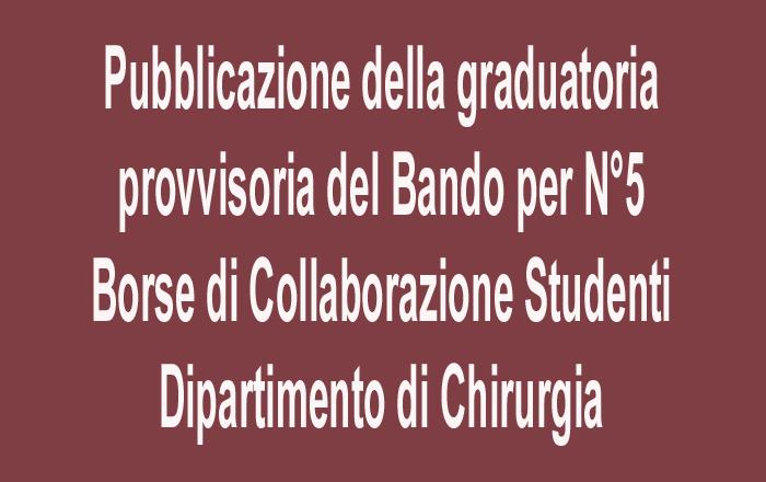 banner Pubblicazione graduatoria provvisoria Bando N°5 borse collaborazione studenti
