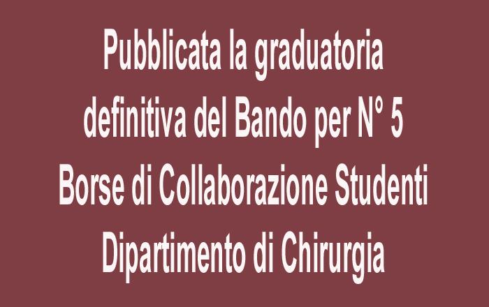 banner notizia graduatoria definitiva Bando N°5 borse collaborazione studenti