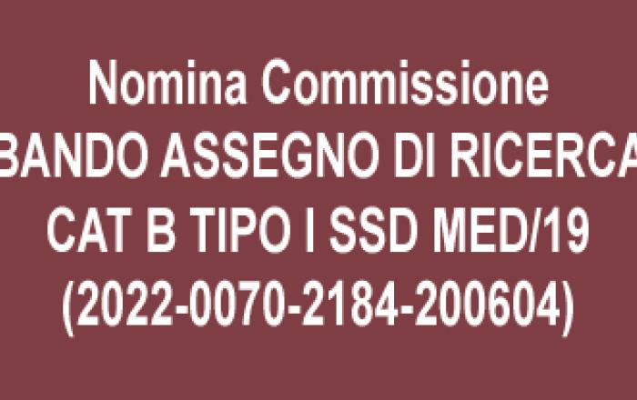 notizia nomina commissione