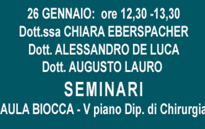 NOTIZIA SEMINARI EBERSPACHER/DE LUCA/LAURO