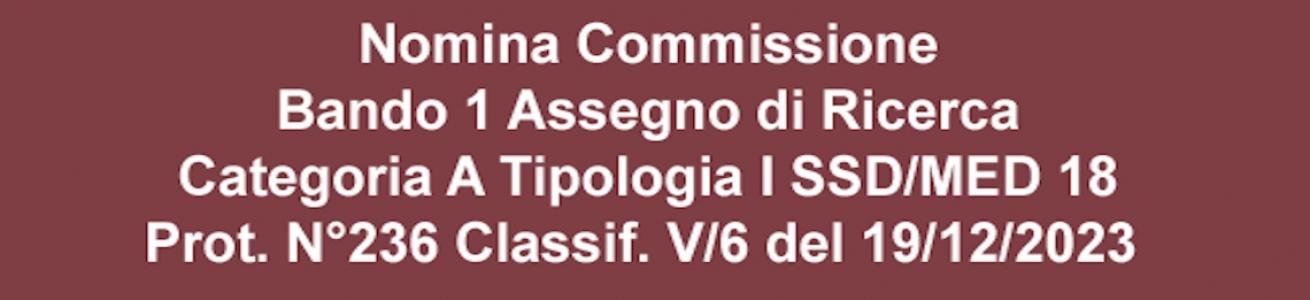 notizia nomina commissione bando