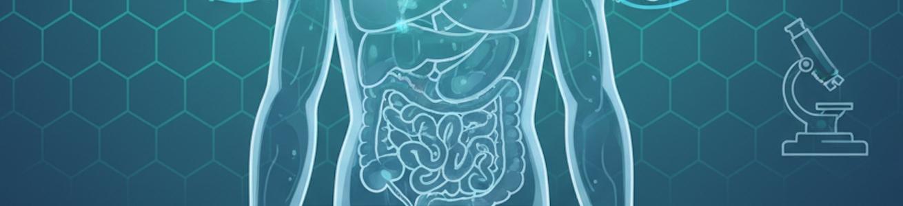 banner per Endo illustrazione di un corpo trasparente